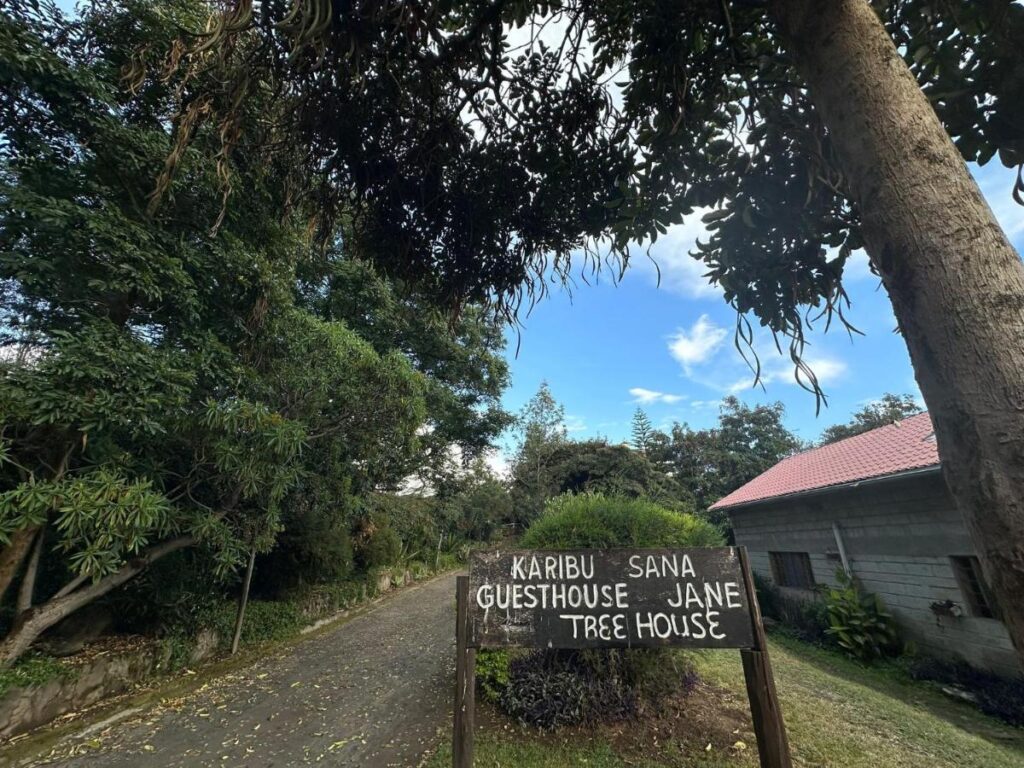 Guesthousejane1
